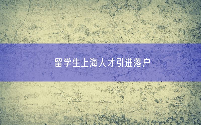 留学生上海人才引进落户