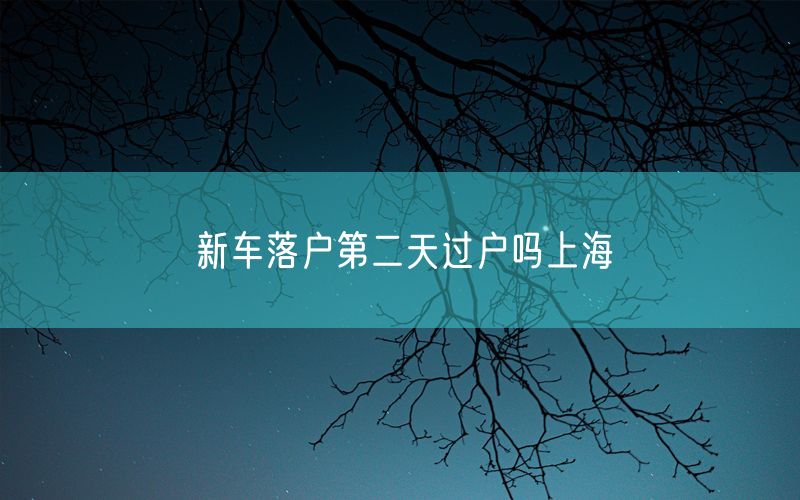 新车落户第二天过户吗上海