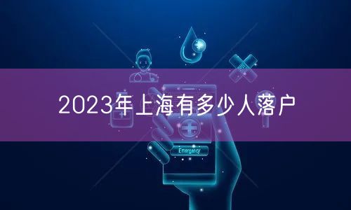 2023年上海有多少人落户