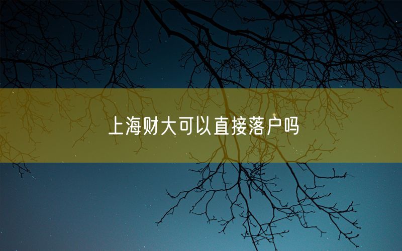 上海财大可以直接落户吗