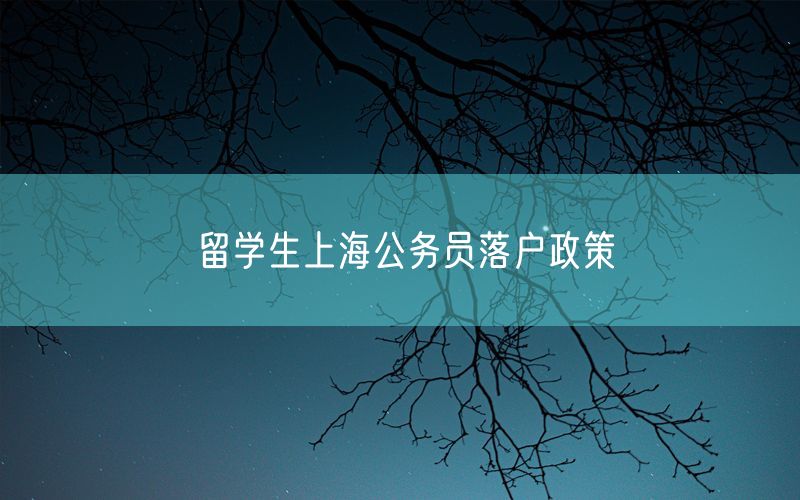 留学生上海公务员落户政策