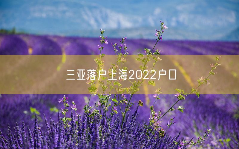 三亚落户上海2022户口