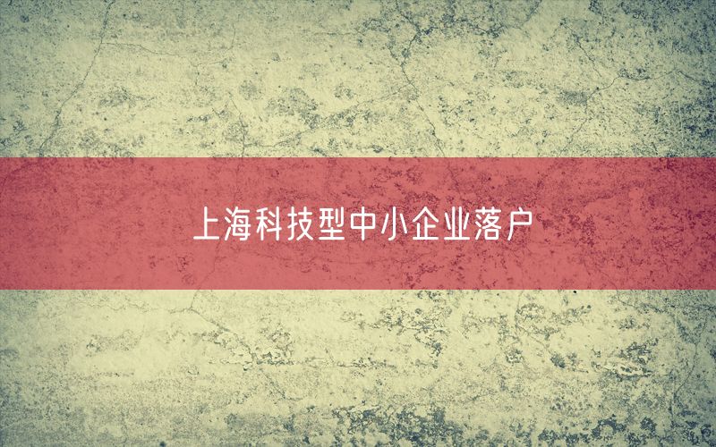 上海科技型中小企业落户