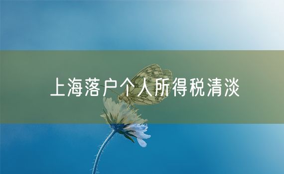 上海落户个人所得税清淡