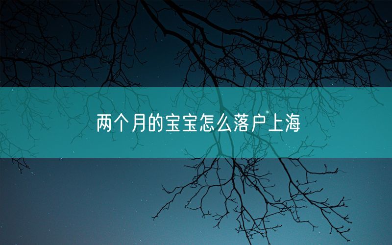 两个月的宝宝怎么落户上海