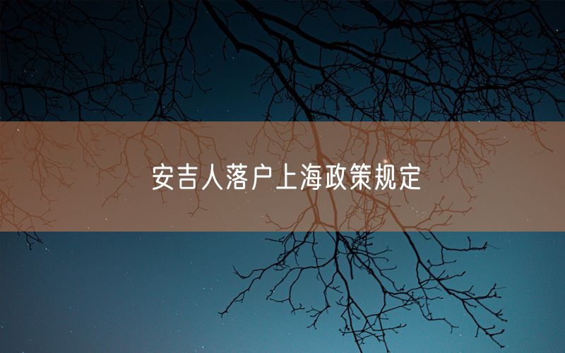 安吉人落户上海政策规定