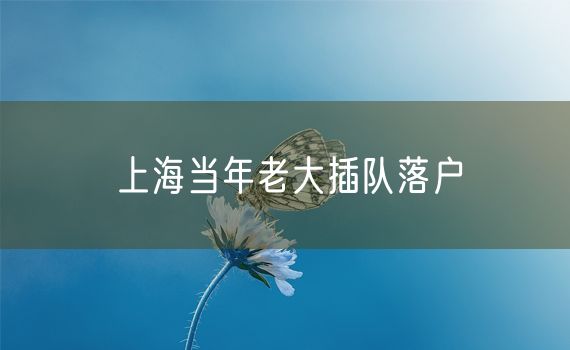 上海当年老大插队落户