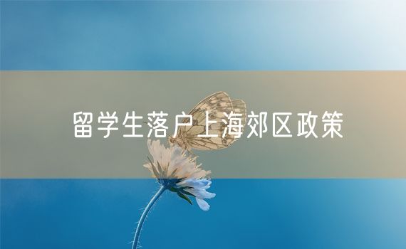 留学生落户上海郊区政策