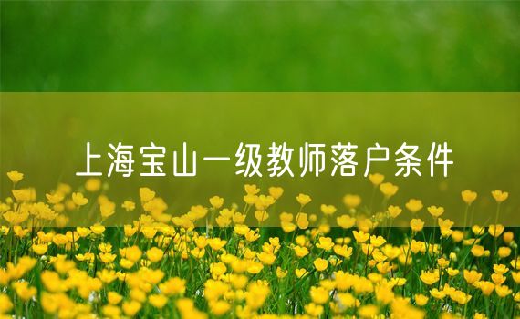 上海宝山一级教师落户条件