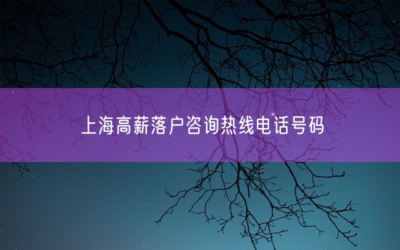 上海高薪落户咨询热线电话号码