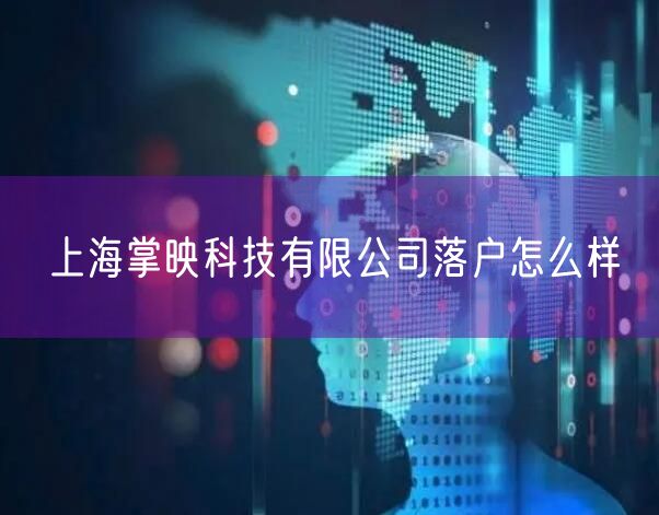 上海掌映科技有限公司落户怎么样