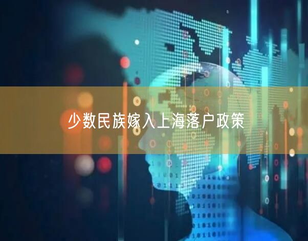 少数民族嫁入上海落户政策