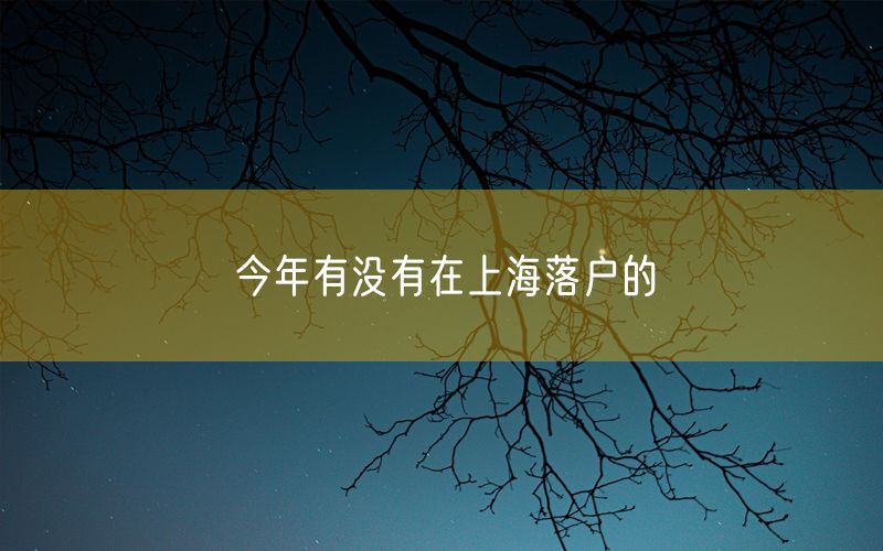 今年有没有在上海落户的