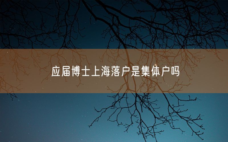 应届博士上海落户是集体户吗