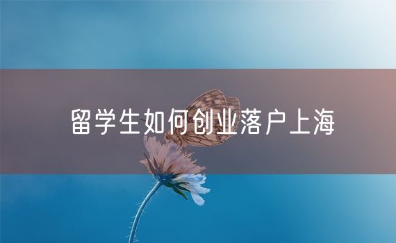 留学生如何创业落户上海