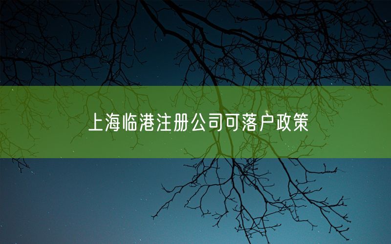 上海临港注册公司可落户政策