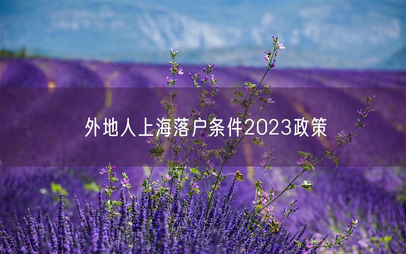 外地人上海落户条件2023政策