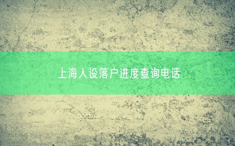 上海人设落户进度查询电话