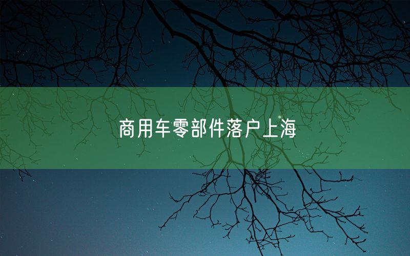 商用车零部件落户上海