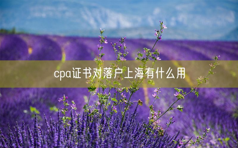 cpa证书对落户上海有什么用