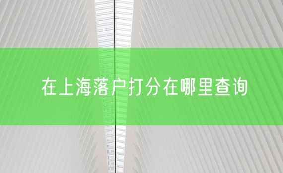 在上海落户打分在哪里查询