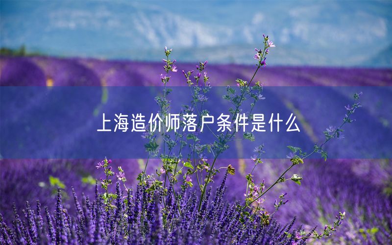 上海造价师落户条件是什么