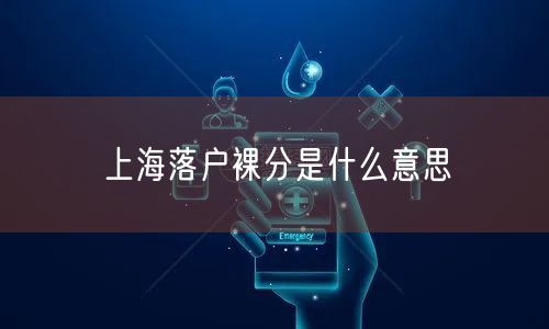 上海落户裸分是什么意思