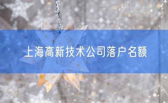 上海高新技术公司落户名额