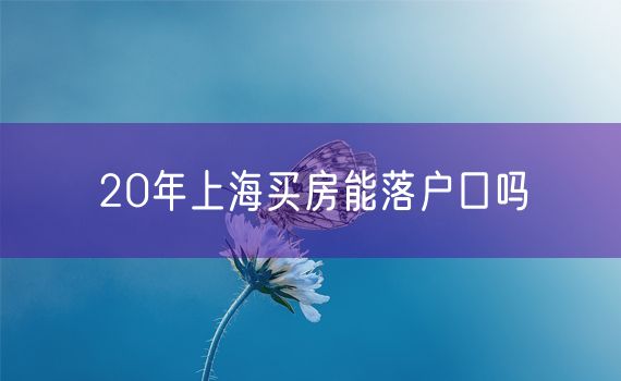 20年上海买房能落户口吗