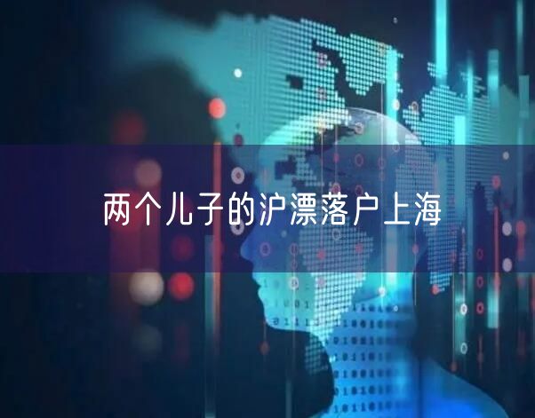 两个儿子的沪漂落户上海