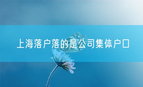 上海落户落的是公司集体户口