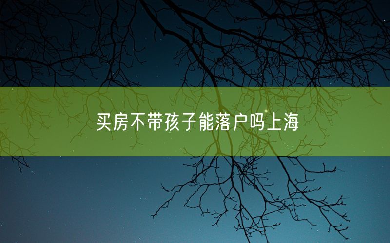 买房不带孩子能落户吗上海