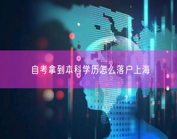 自考拿到本科学历怎么落户上海