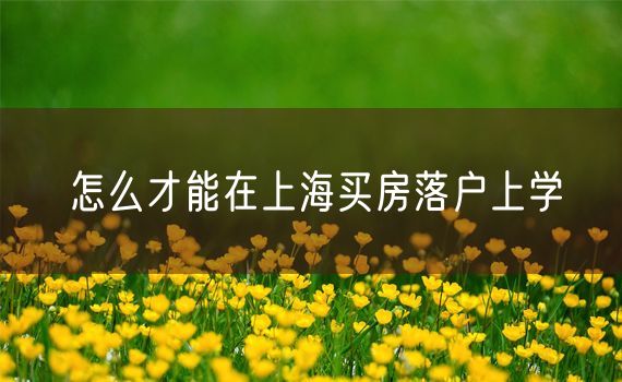 怎么才能在上海买房落户上学