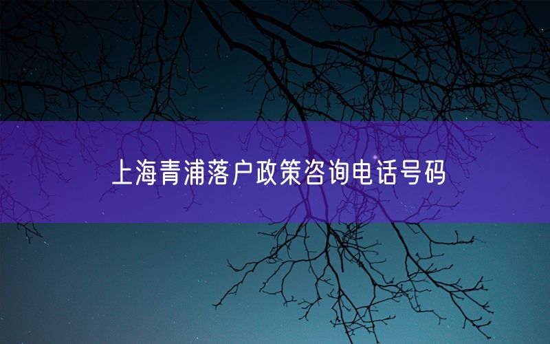 上海青浦落户政策咨询电话号码