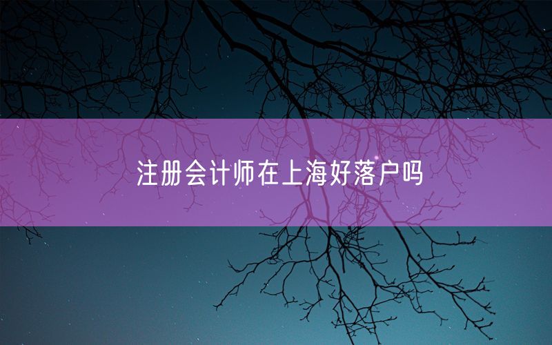 注册会计师在上海好落户吗