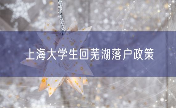 上海大学生回芜湖落户政策