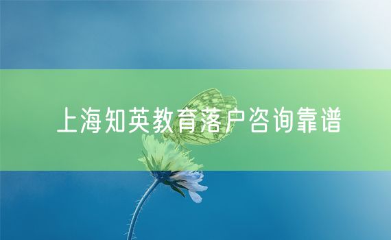 上海知英教育落户咨询靠谱