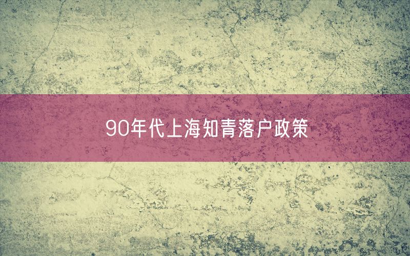 90年代上海知青落户政策