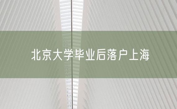 北京大学毕业后落户上海