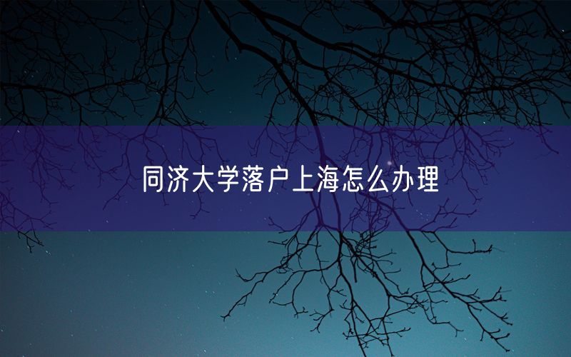 同济大学落户上海怎么办理