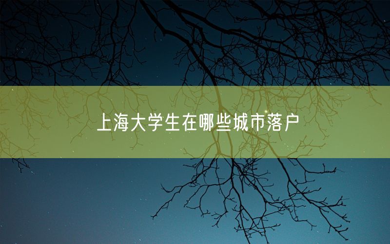 上海大学生在哪些城市落户