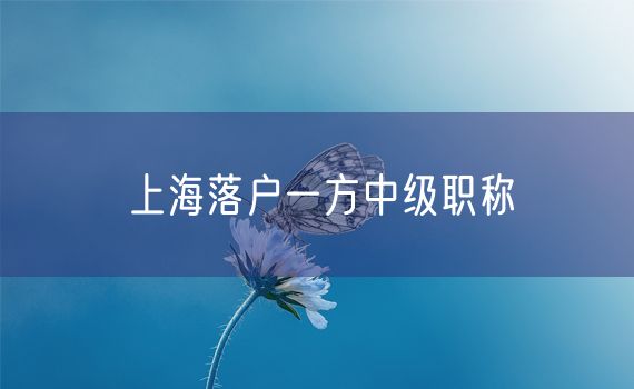 上海落户一方中级职称