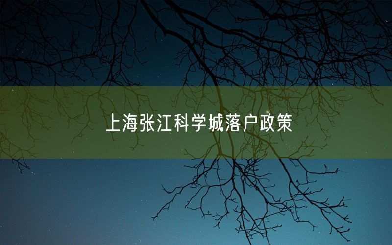 上海张江科学城落户政策