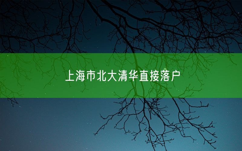 上海市北大清华直接落户