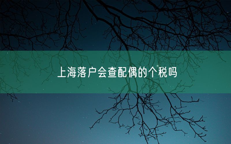 上海落户会查配偶的个税吗