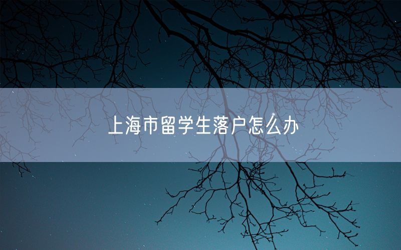 上海市留学生落户怎么办