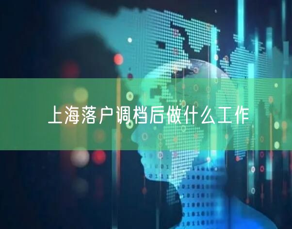 上海落户调档后做什么工作