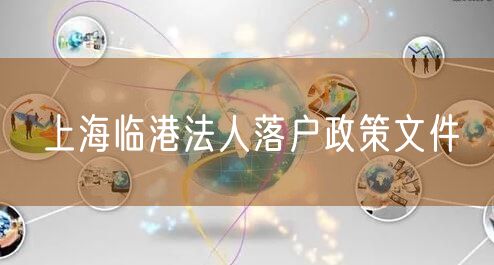 上海临港法人落户政策文件