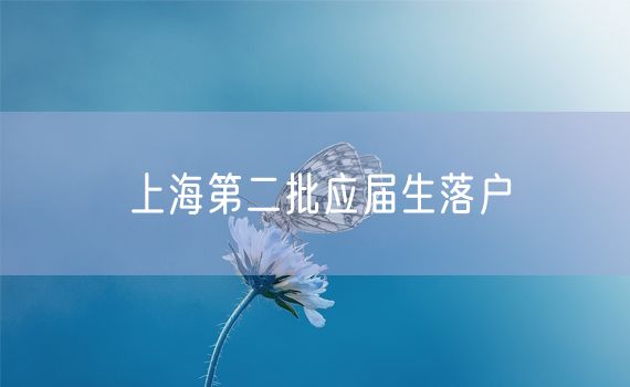 上海第二批应届生落户